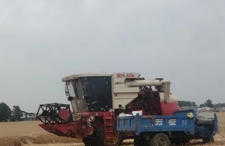 機(jī)手、主播、畫(huà)家……“三農(nóng)”變化之農(nóng)民新職業(yè)