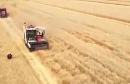 安徽：小麥主產(chǎn)區(qū)完善服務進度快 顆粒歸倉收獲忙