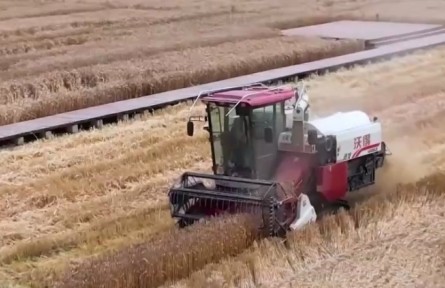 農(nóng)發(fā)行多措并舉全力保障2022年夏糧收購