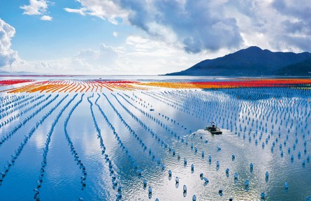 《求是》雜志編輯部：讓中華大地天更藍、山更綠、水更清、環(huán)境更優(yōu)美