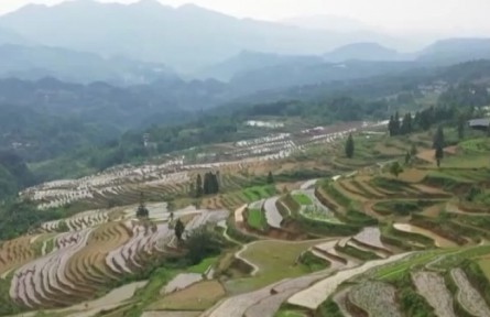 國家鄉(xiāng)村振興局發(fā)布應(yīng)對新冠肺措施 持續(xù)鞏固拓展脫貧攻堅(jiān)成果