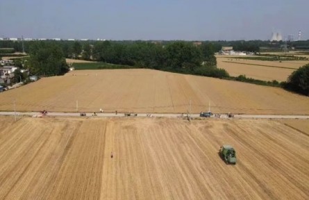 2022年新麥開秤收購 質(zhì) 量 價(jià)“三高”