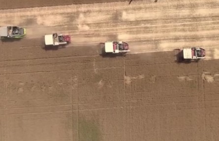 2022年國(guó)家新審定176個(gè)小麥新品種