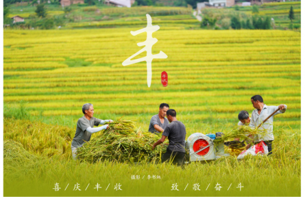 四川宜賓敘州區(qū)：豐收新時(shí)代