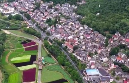 第51個(gè)世界環(huán)境日 浙江安吉：兩片“葉子”撬動(dòng)小山村的蝶變