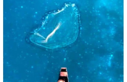 這樣的山水，很中國(guó)