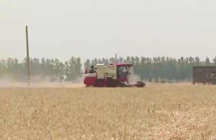 多地開辟“綠色通道” 跨區(qū)機收一路暢通