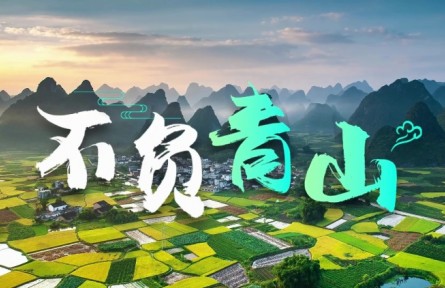 不負(fù)青山