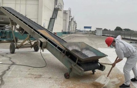 中儲(chǔ)糧：全面啟動(dòng)中央儲(chǔ)備糧輪入收購