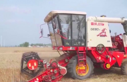 中央財(cái)政一攬子農(nóng)業(yè)生產(chǎn)發(fā)展資金支持政策提前落地