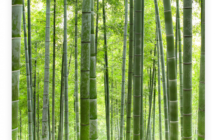 名言 | 蘇軾：君子以其身之正，知人之不正；以人之不正，知其身之所未正也