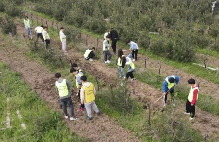 秦嶺腳下，“95后”新農(nóng)人播撒新希望