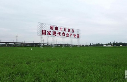 時政新聞眼 | 習(xí)近平再赴四川考察，在眉山重點關(guān)注了什么？