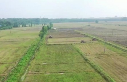 江西：已插播中稻912萬畝 完成計(jì)劃超六成