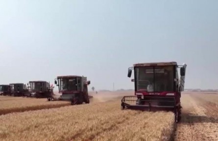 【在希望的田野上·三夏時(shí)節(jié)】我國小麥?zhǔn)斋@過七成 夏種陸續(xù)展開