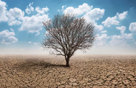 科普 | 自然災(zāi)害頻發(fā)的今天，人類可以做些什么？