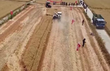 河南2022年三夏麥收基本結(jié)束