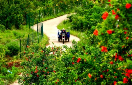 南水北調中線河南段轉型發(fā)展側記：“天河”北流 水清民富