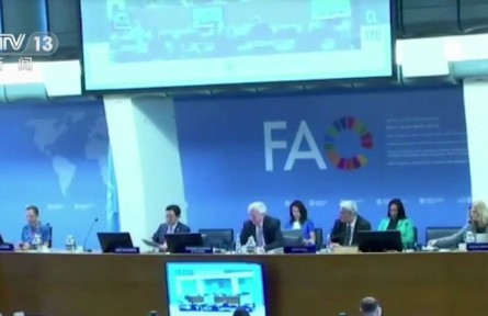 聯(lián)合國糧農(nóng)組織理事會(huì)第170次會(huì)議 糧農(nóng)組織總干事：俄烏沖突威脅明年糧食收成