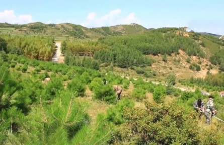 三北防護(hù)林工程有效防護(hù)農(nóng)田超3000萬公頃