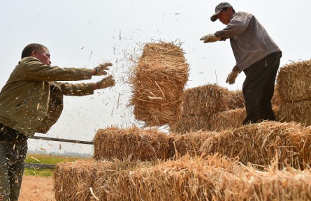 綠色中國“加減法” 秸稈綜合利用 “生態(tài)包袱”變“綠色財富”