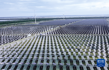 氣候適應型社會 climate-resilient society