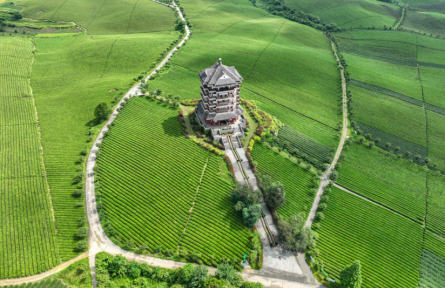 貴州遵義：飛閱“中國(guó)茶?！本皡^(qū)