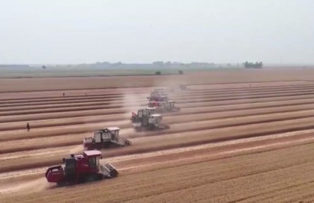 【在希望的田野上·三夏時節(jié)】我國已收獲小麥2.89億畝 夏種有序推進