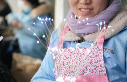 致富新業(yè)，山區(qū)制造：秦巴山區(qū)培育新社區(qū)工廠