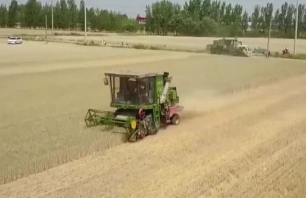 我國已收獲小麥2.94億畝 進(jìn)度與2021年基本持平