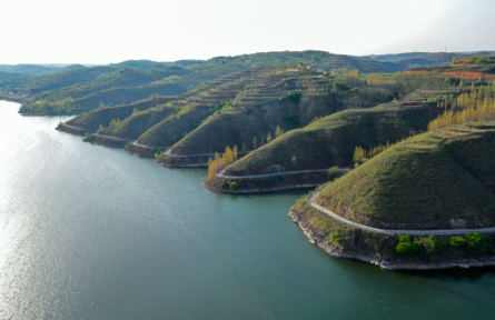 河南三門峽陜州區(qū)：美麗經濟讓農村成為新時代“桃花源”