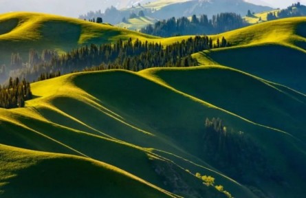 自然文學(xué)、生態(tài)文學(xué)的價(jià)值坐標(biāo)與現(xiàn)實(shí)之維