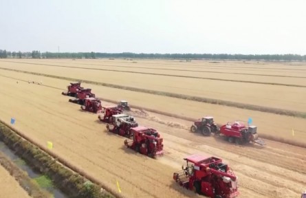 全國小麥大規(guī)模機收基本結束 2022年夏糧豐收成定局