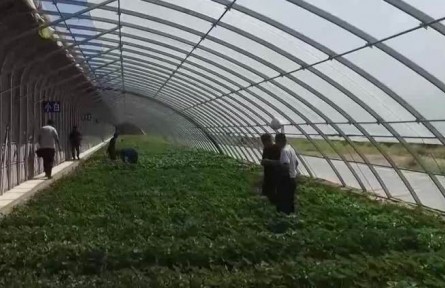 我國(guó)全面推進(jìn)鄉(xiāng)村振興實(shí)現(xiàn)良好開(kāi)局