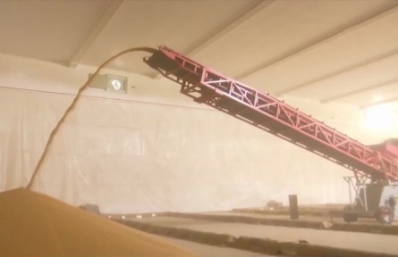 夏糧秋糧怎么分類？各自有哪些品種？