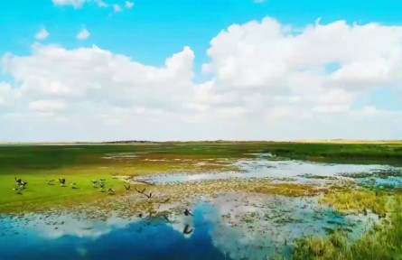 大美邊疆行 | 駿馬揚(yáng)鬃逐夢(mèng)去，民富邊興幸福長(zhǎng)