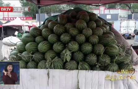 “北菜南運(yùn)”開啟 新發(fā)地菜籃子供應(yīng)充足 價(jià)格平穩(wěn)