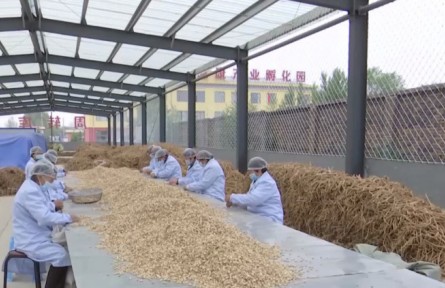 《中醫(yī)藥法》實施五年 國家加大對中醫(yī)藥產(chǎn)業(yè)扶持力度