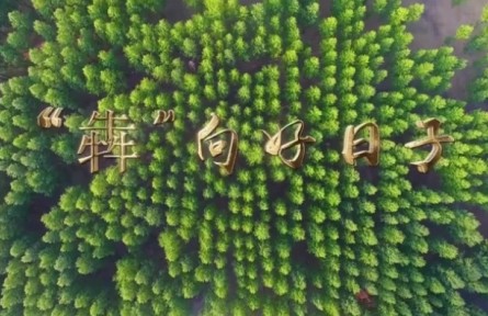 說(shuō)說(shuō)我的綠色獲得感 |“犇”向好日子