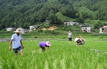 這些一次性補貼、補助！你領(lǐng)到了嗎？