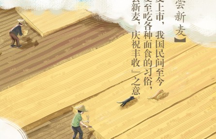 夏至丨喜嘗新麥！你最愛(ài)吃哪款面食？