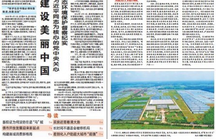 “弱鳥先飛”的寧德實踐