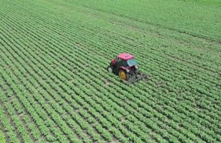 黑龍江綏化：智慧農(nóng)業(yè)引領(lǐng)田間管理 促進豐產(chǎn)豐收