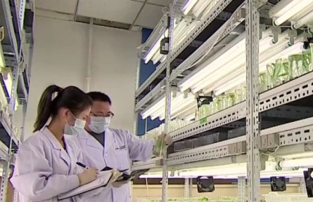 聚焦“農(nóng)業(yè)數(shù)字化技術(shù)員”：加大扶持力度 有的放矢培養(yǎng)人才