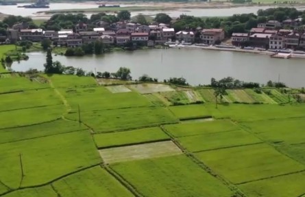 2022年全國夏管有序推進