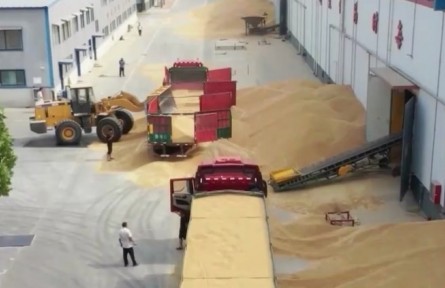 【在希望的田野上·三夏時節(jié)】夏糧收購全面展開 進(jìn)度快于往年