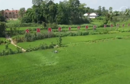 農(nóng)業(yè)農(nóng)村部：關(guān)鍵措施環(huán)環(huán)緊扣 抓好秋糧生產(chǎn)