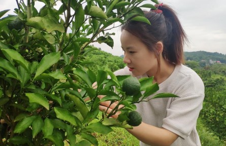 “90后”海歸女碩士肖源：讓新農(nóng)人的夢想在荒山開花結(jié)果