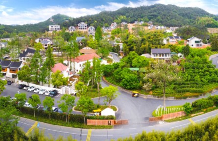 浙江安吉：打開(kāi)“共享文檔” 合寫(xiě)共富文章