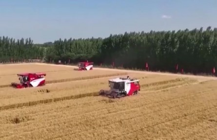 【奮斗者正青春】山東農(nóng)大科研團隊：用青春守護中國糧